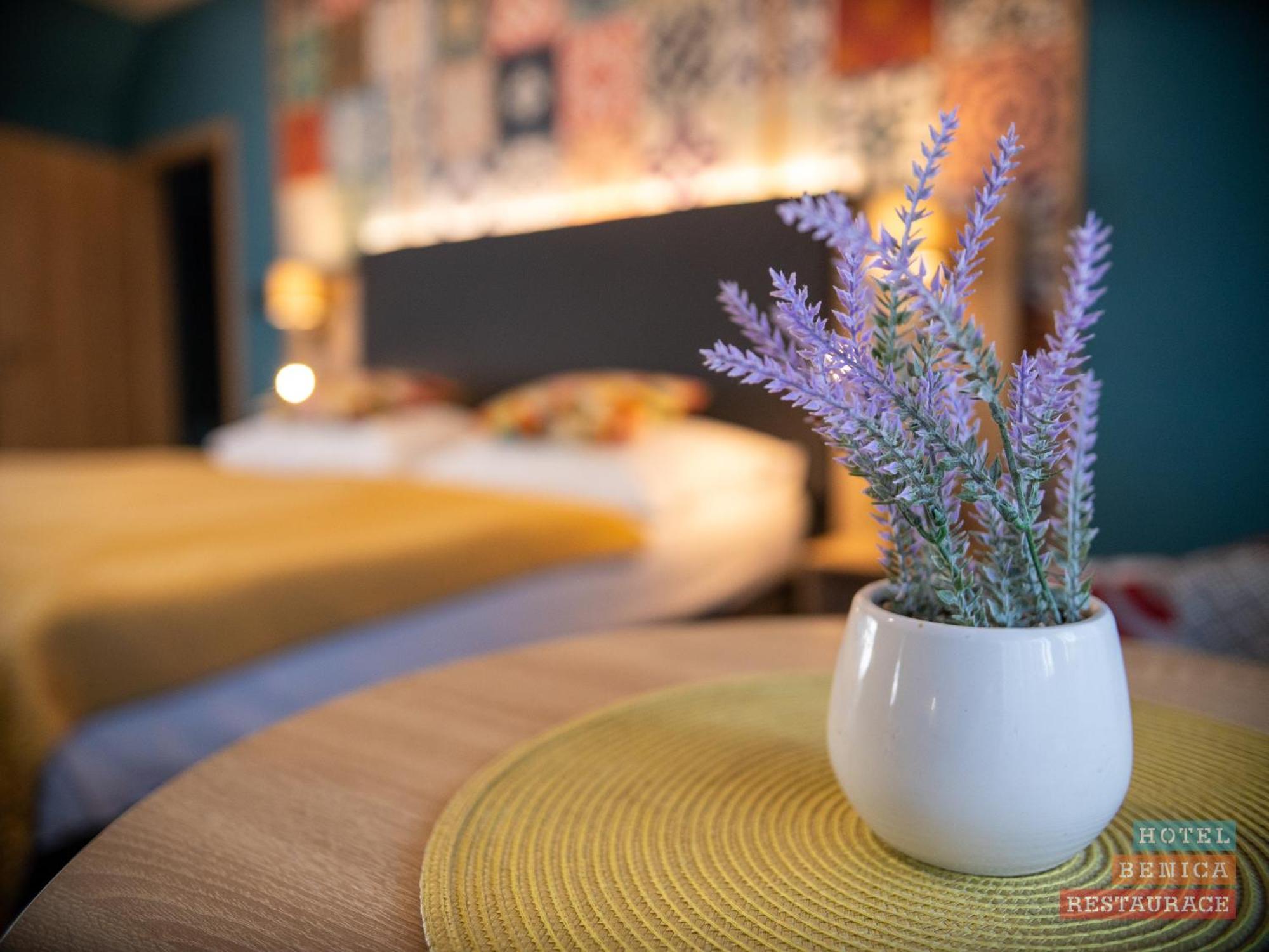 Hotel Benica เบเนชอฟ ภายนอก รูปภาพ
